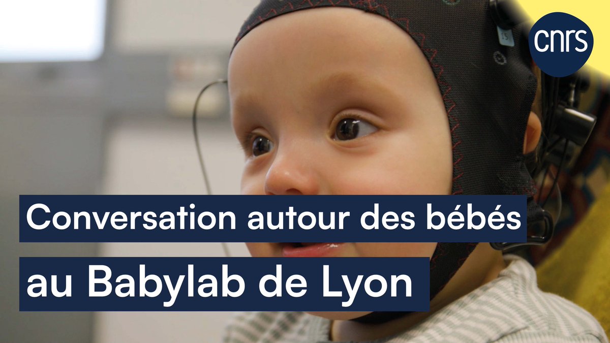 Liuba Papeo tweet media