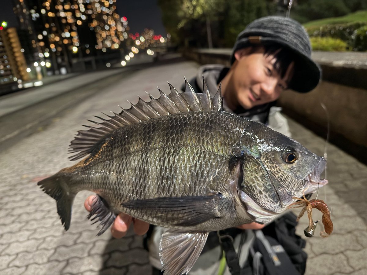 遊神チヌSP　様　確認ページ❗ 遊神チヌSP 様 確認ページ❗