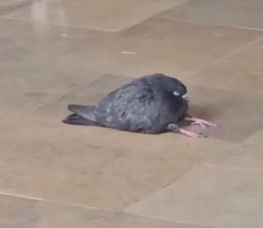 Por eso no me gusta dormir temprano