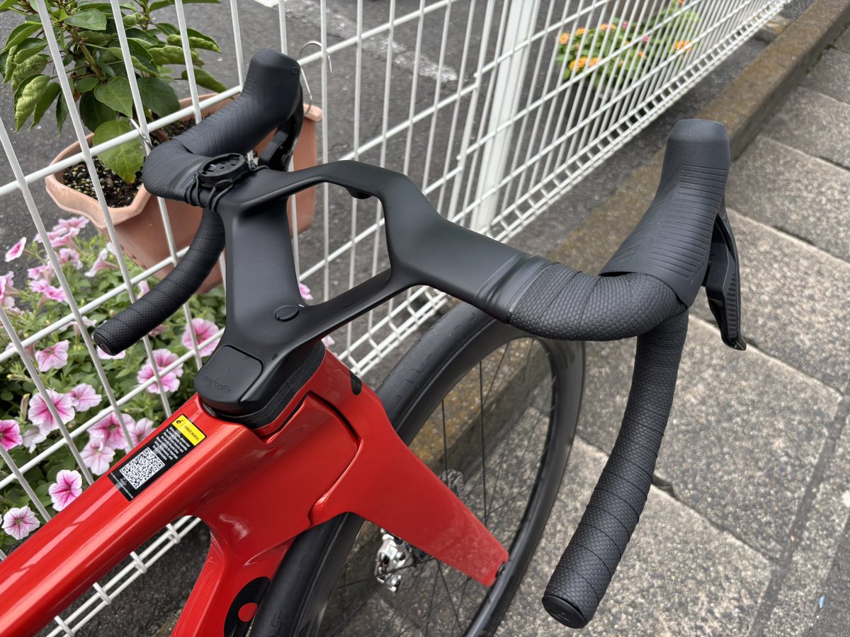 カピバラ (@CapybaraLIZED) / Posts / X