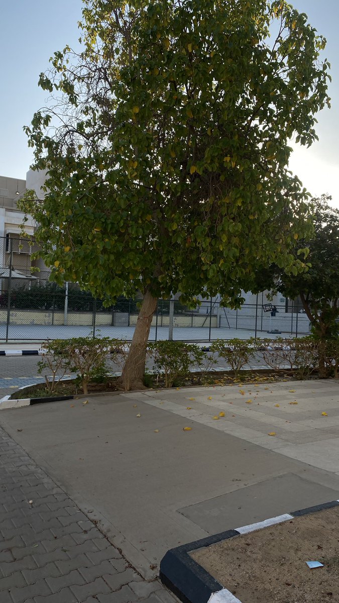 الجو حلو والقهوة لذيذة بس تكاك الأختبار يهوجسبك