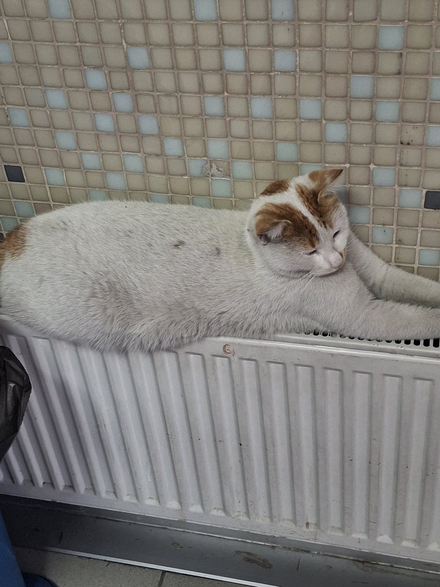 Size havanın soğuk olduğunu şöyle anlatayım