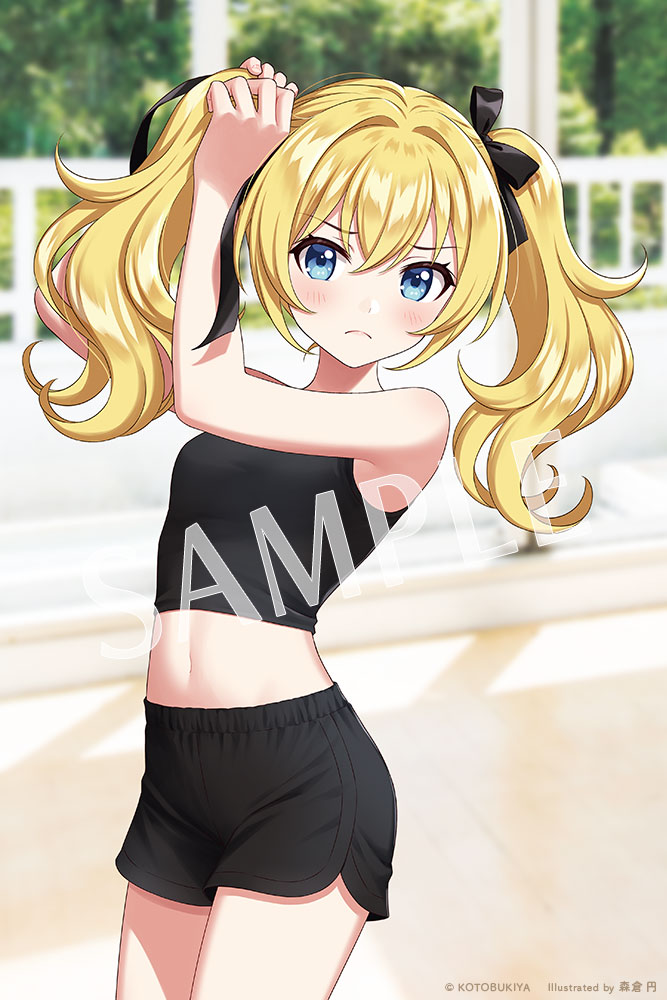 ドレスアップボディ【S】カラーC Ver.のパッケージイラスト公開