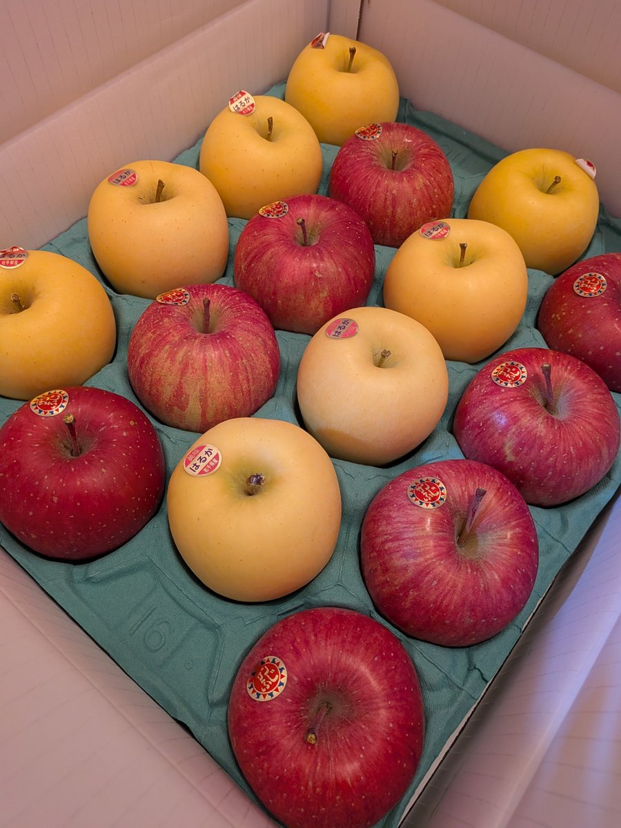 実家から大量にりんご届いた🍎
サンふじとはるか
シャキシャキで蜜が入ってておいち🤤