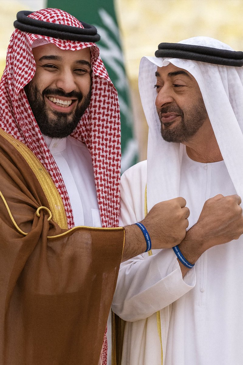 لقطاء في عالم القوة والنفوذ لا اكثر