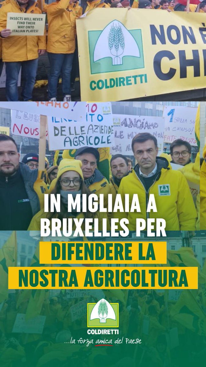 ColdirettiAL's tweet image. Saremo in migliaia a Bruxelles per denunciare ancora una volta @vonderleyen e i suoi tecnocrati, per contestare questa visione distorta lontana dai reali bisogni dell’agricoltura, dalla Pac agli accordi di libero scambio senza principio di reciprocità
@coldiretti 
@ColdirettiPie