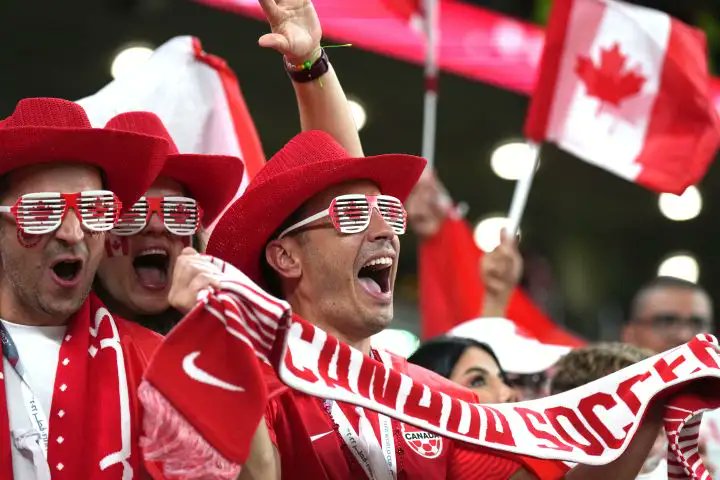 Tiam Immigration Partner | پلتفرم مهاجرتی تیام tweet media