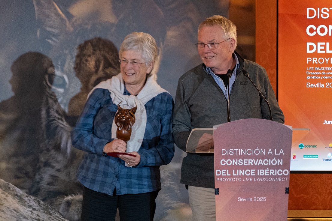 Life Lynxconnect tweet media