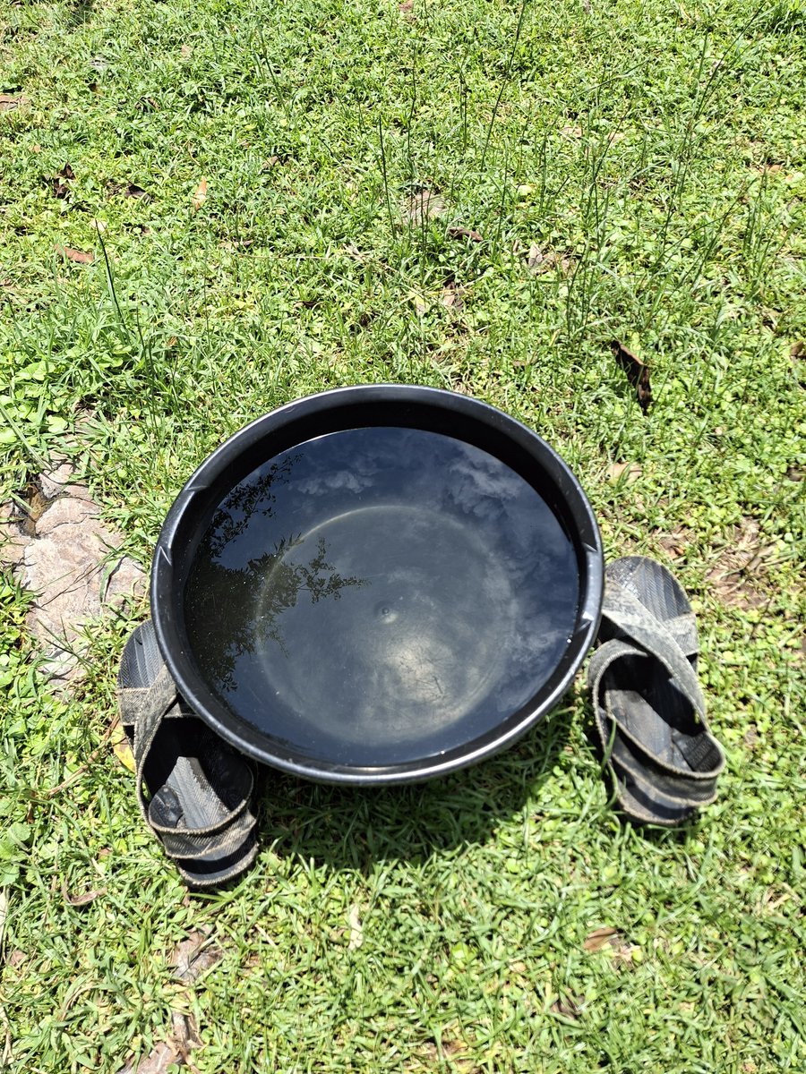 giddy_terer's tweet image. Getting ready, hapa hapa ndio bathroom 😄