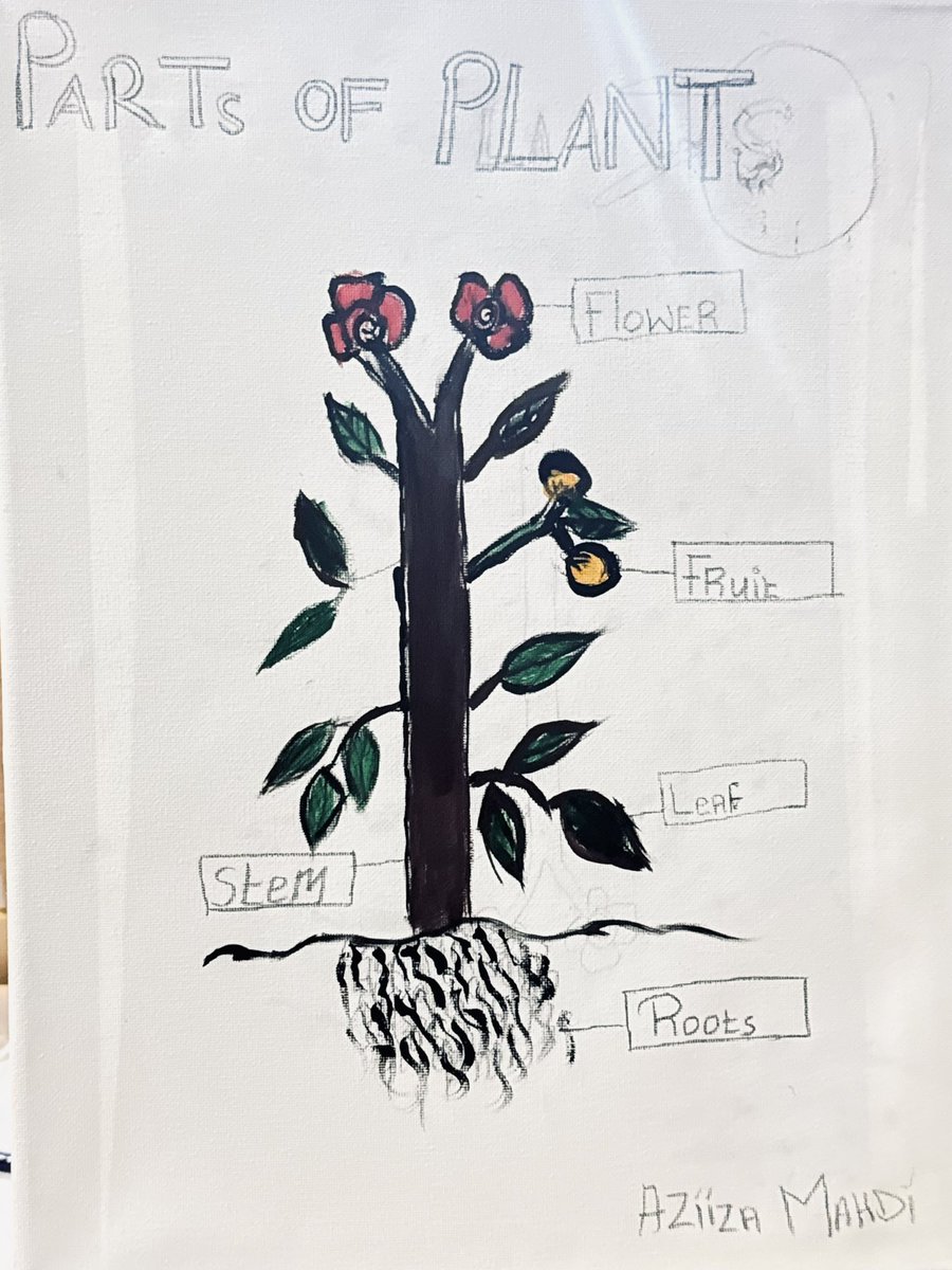 biciidcenter's tweet photo. At the Puntland Book Fair, Biciid Center for Culture and Nature hosted “Heritage for Arts,” an inclusive session where participants shared silent thoughts with the Somali community through creative drawings and reflections.

#ArtsforHeritage #BCCN #BiciidCenter #Somaliheritage https://t.co/btJiEreL2a