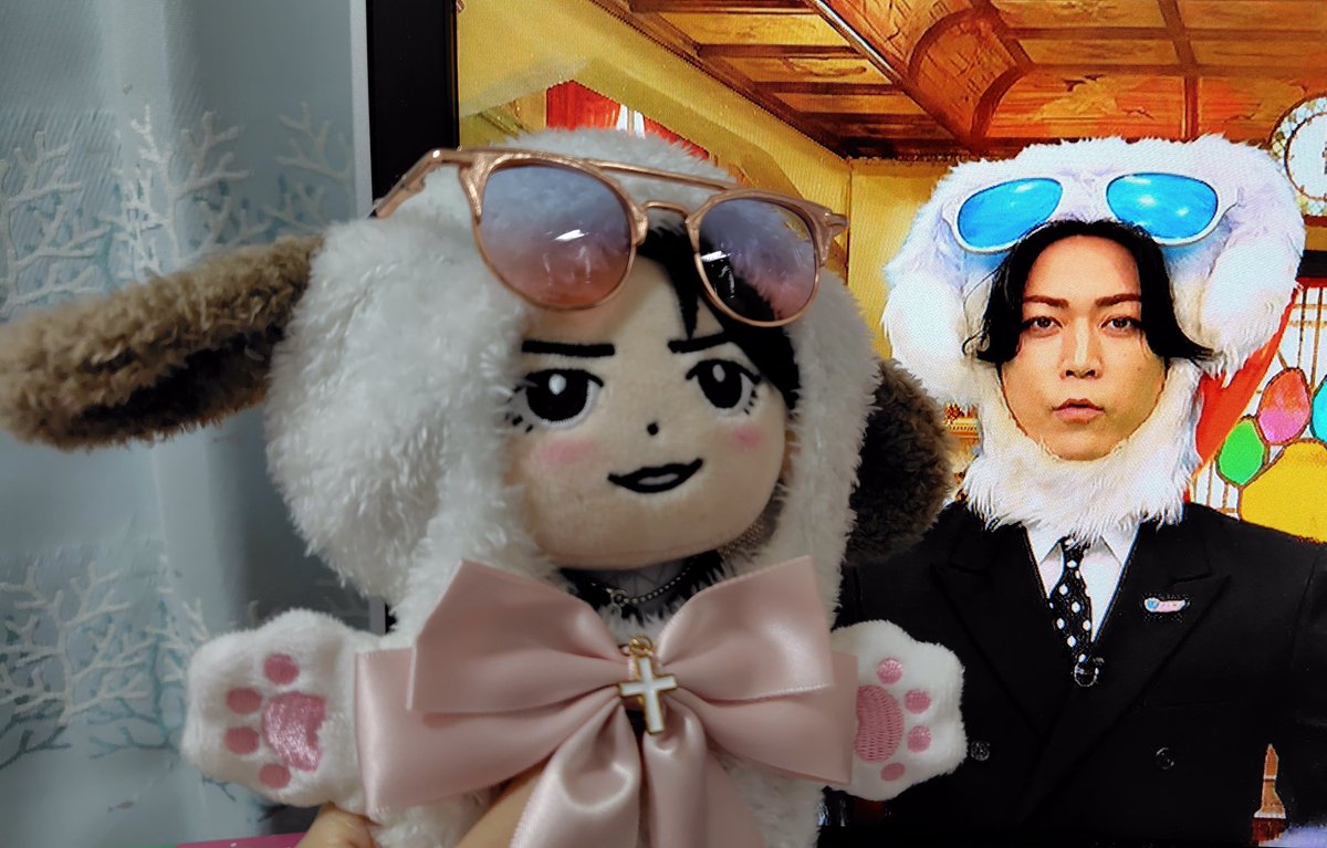 今日もちびかめちゃんと観てます🐶 #ワンにゃフル物語 #ちびかめ #亀梨