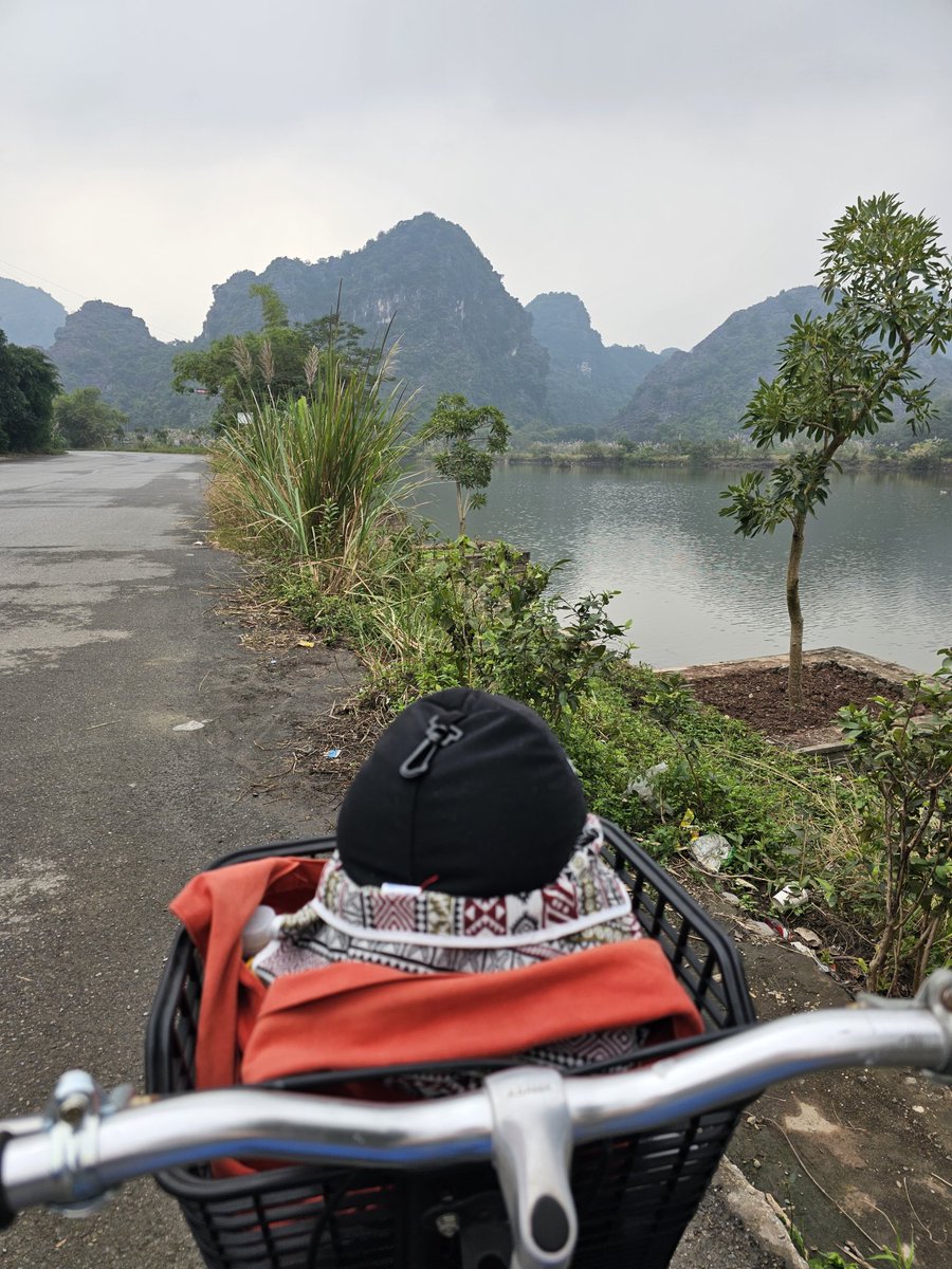 PinguinFridolin's tweet photo. #TrangAn #Vietnam #Biking #MarvinOnTour https://t.co/bVYHyVEUZp