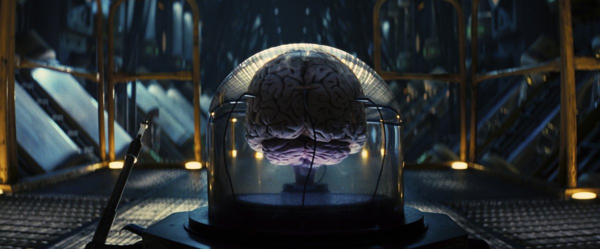 Prime Video（プライムビデオ） tweet media