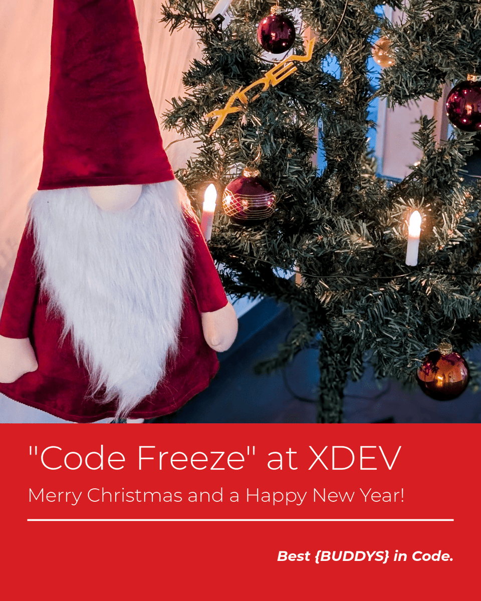 XDEV Software tweet media