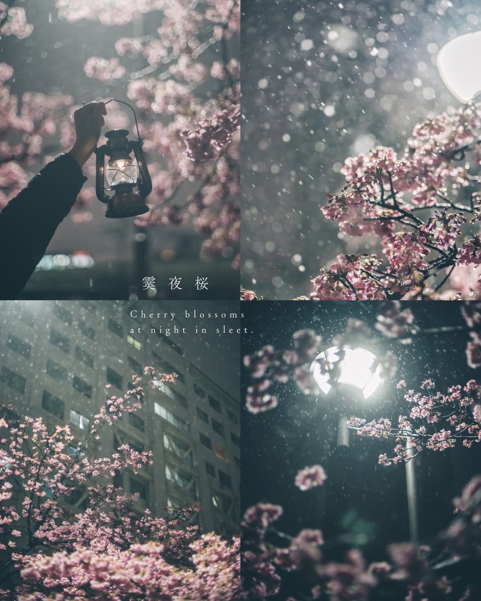 2025年ももうすぐ終わっちゃうの🥺