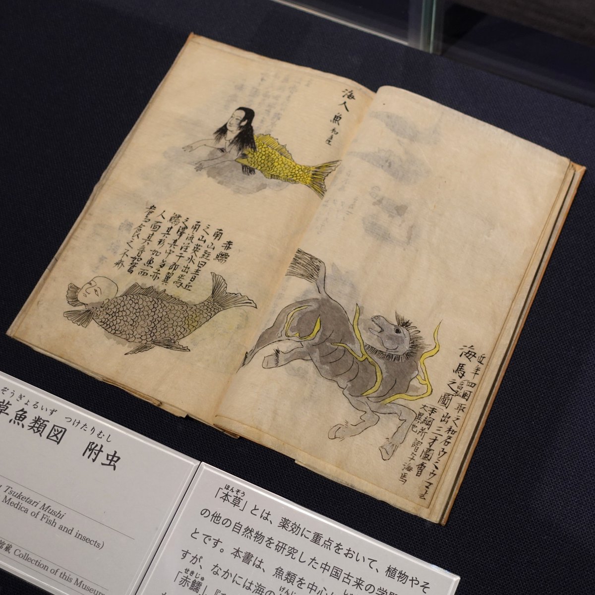 展示替のお知らせ／ 冬の常設展「日本の妖怪」(2026.3/24(火)まで)開催