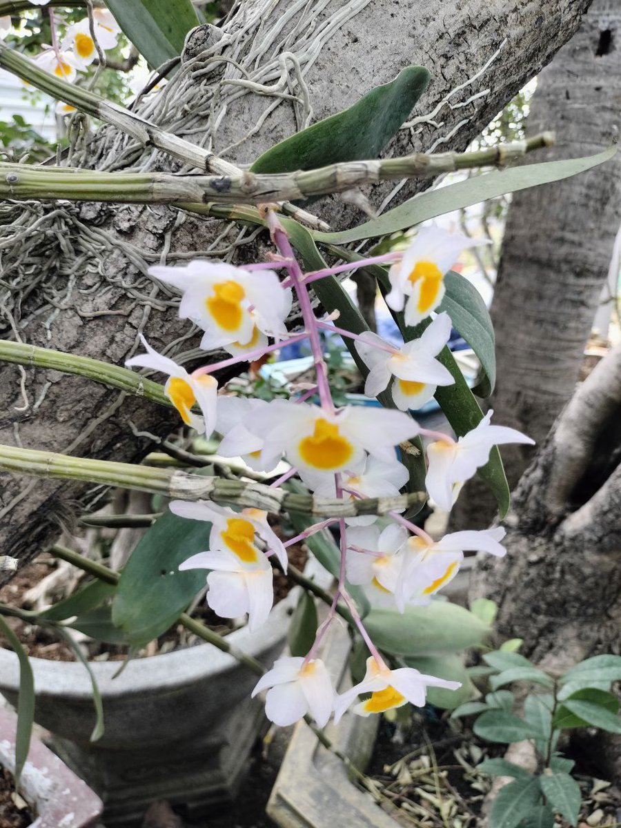 umi <a href="/YOM_Official/">YOM</a> <a href="/entry_network/">ENTRY</a> <a href="/EdgenTech/">Edgen</a>