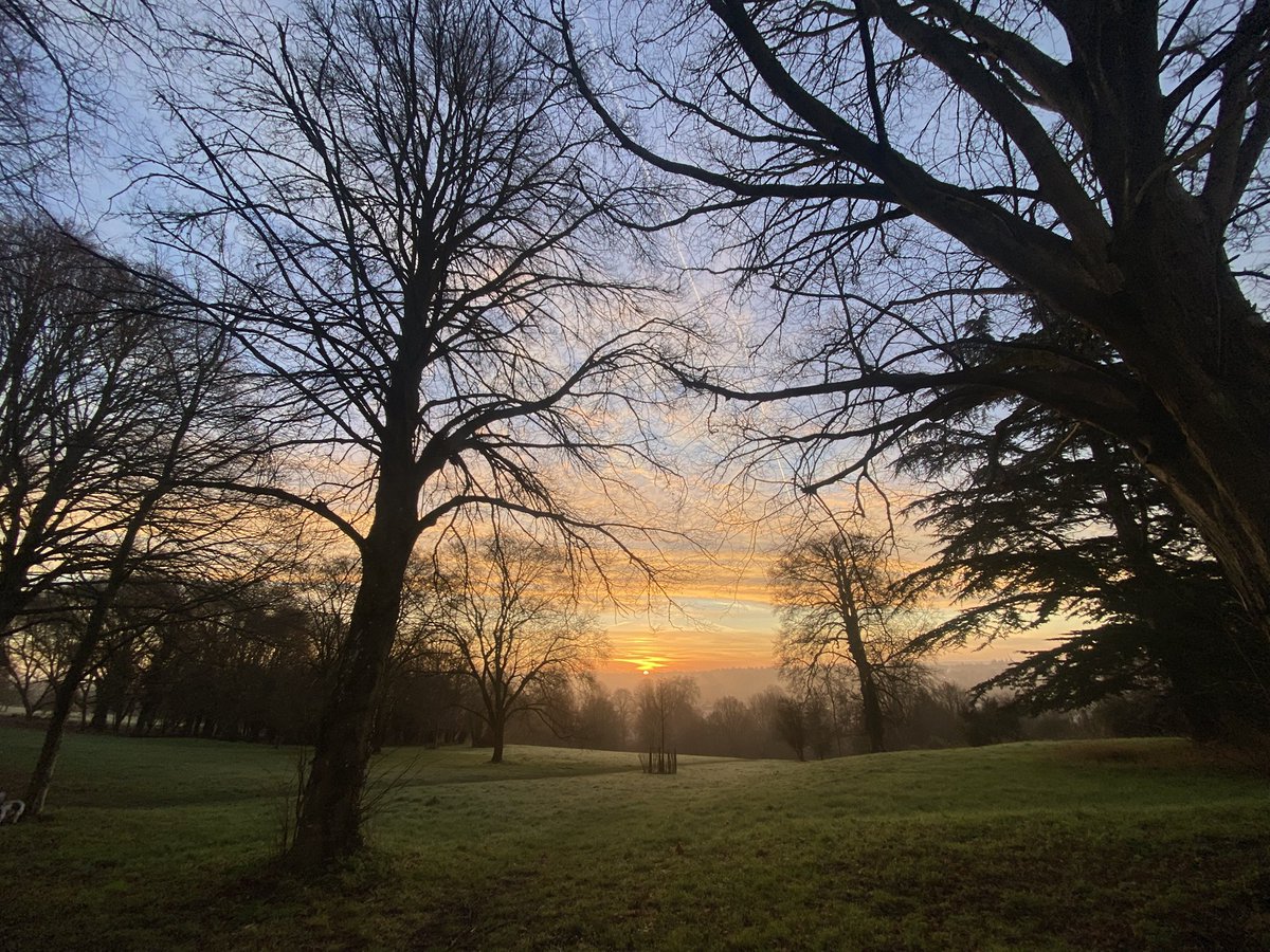 ftfc_fan's tweet photo. @danfryer @heathhill mine from farnham park this morning https://t.co/Q9xNFrYF0p
