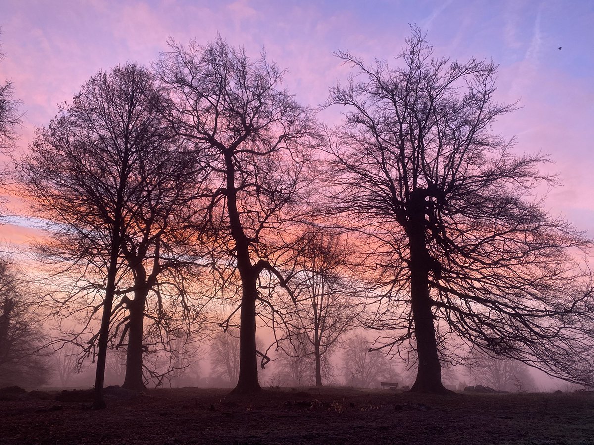 ftfc_fan's tweet photo. @danfryer @heathhill mine from farnham park this morning https://t.co/Q9xNFrYF0p