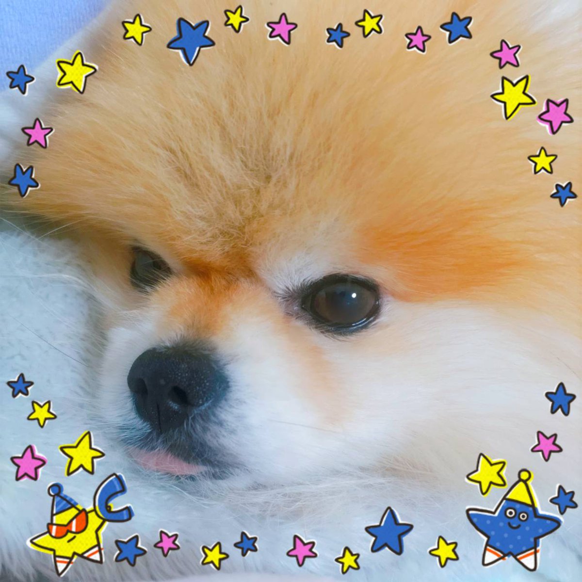 ポメまる様 今日のS株投資 🥈積水ハウスなど お疲れさまでした☕