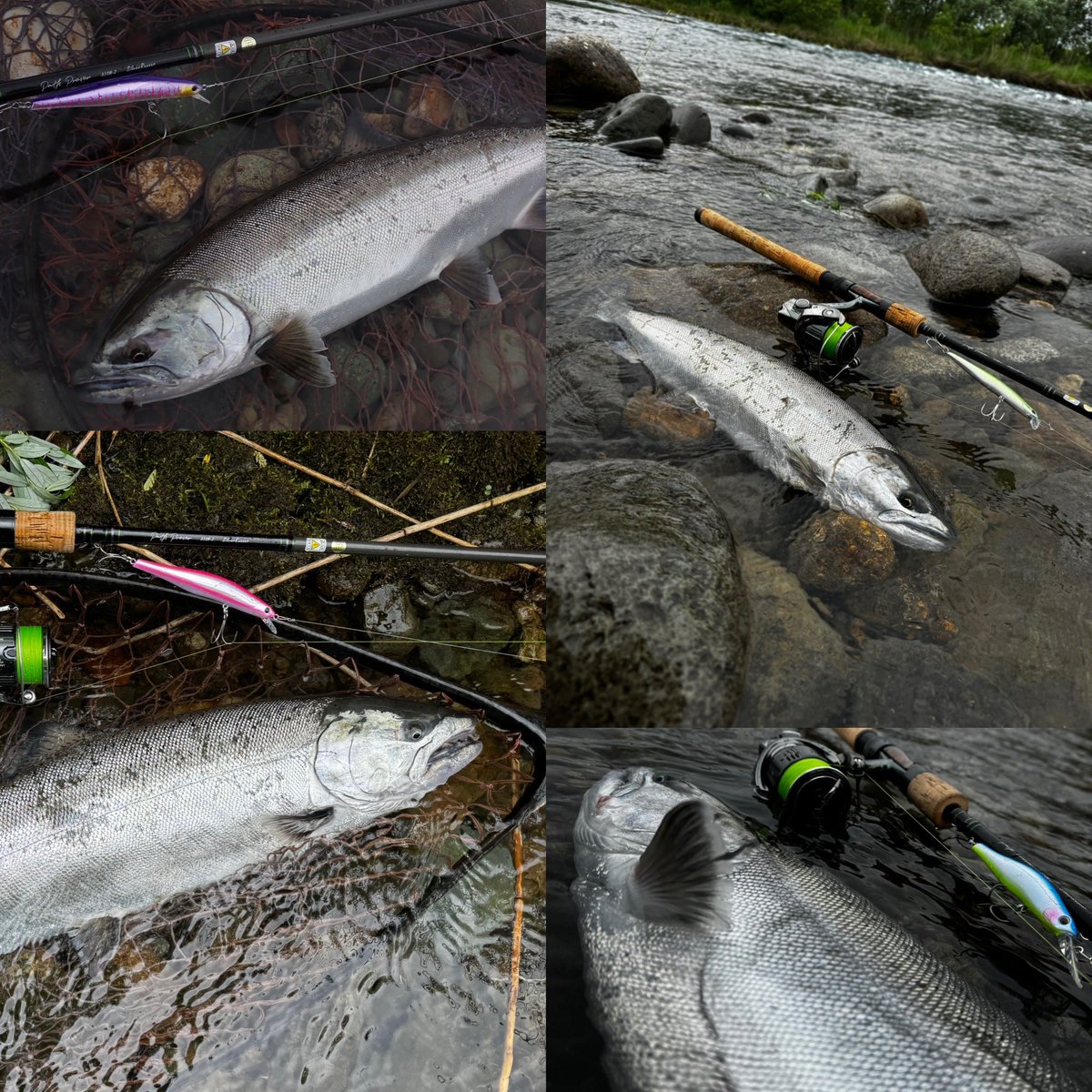 ティムコ トラウトフィッシング (@tiemco_trout) / Posts / X