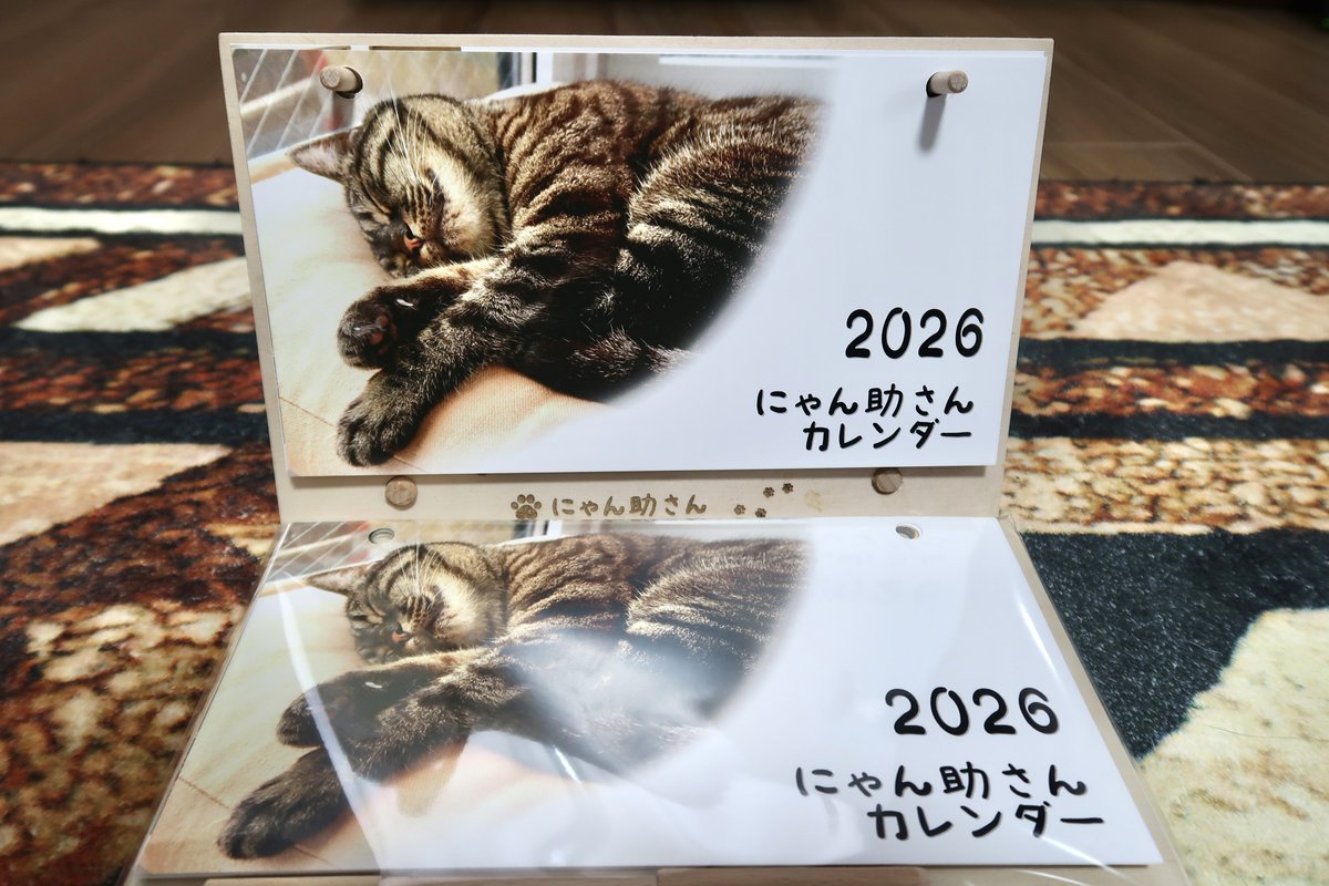 ジャッキー tweet media