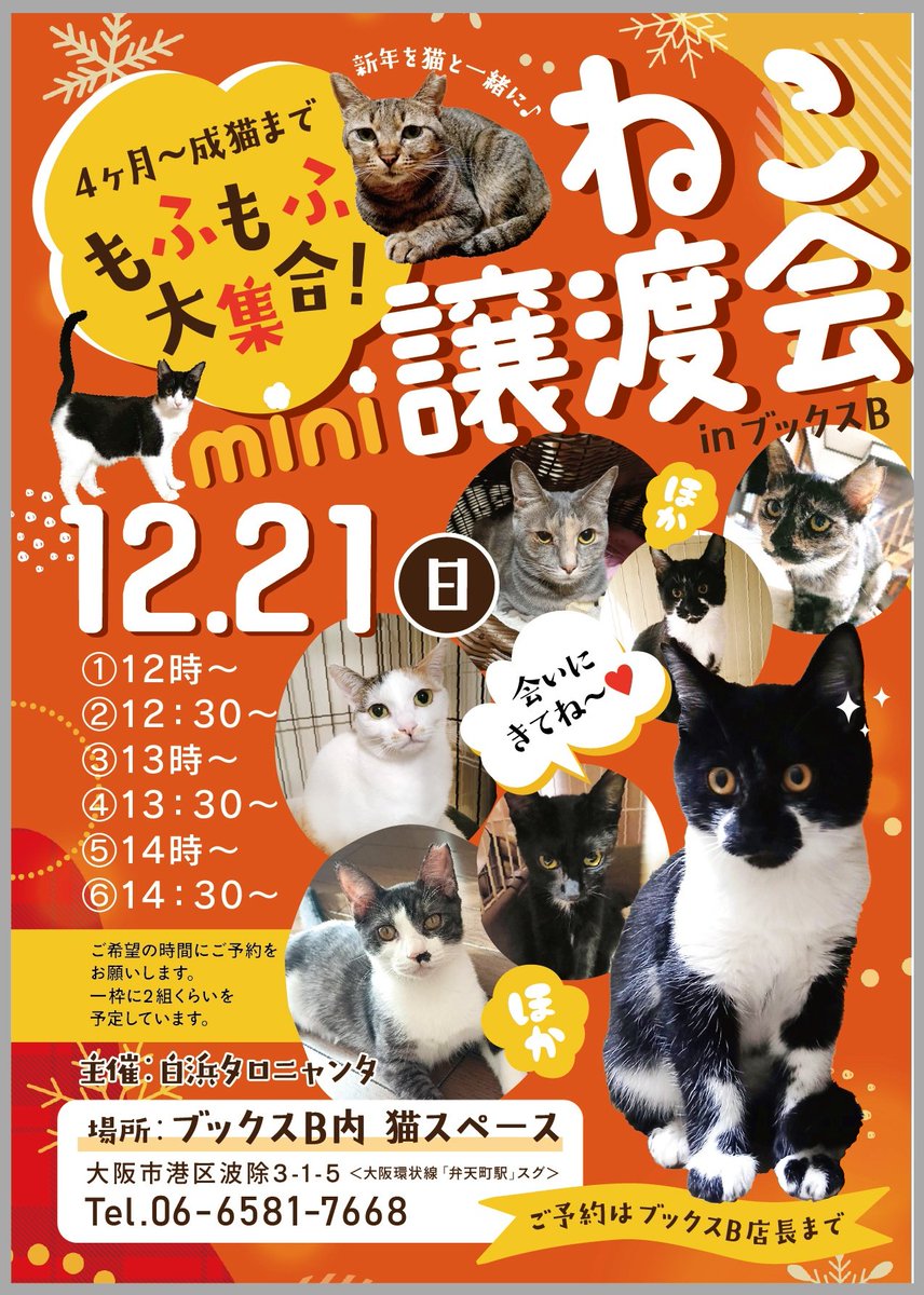 大阪臨港地区さくらねこの会 (@rinkou_neko) / Posts / X