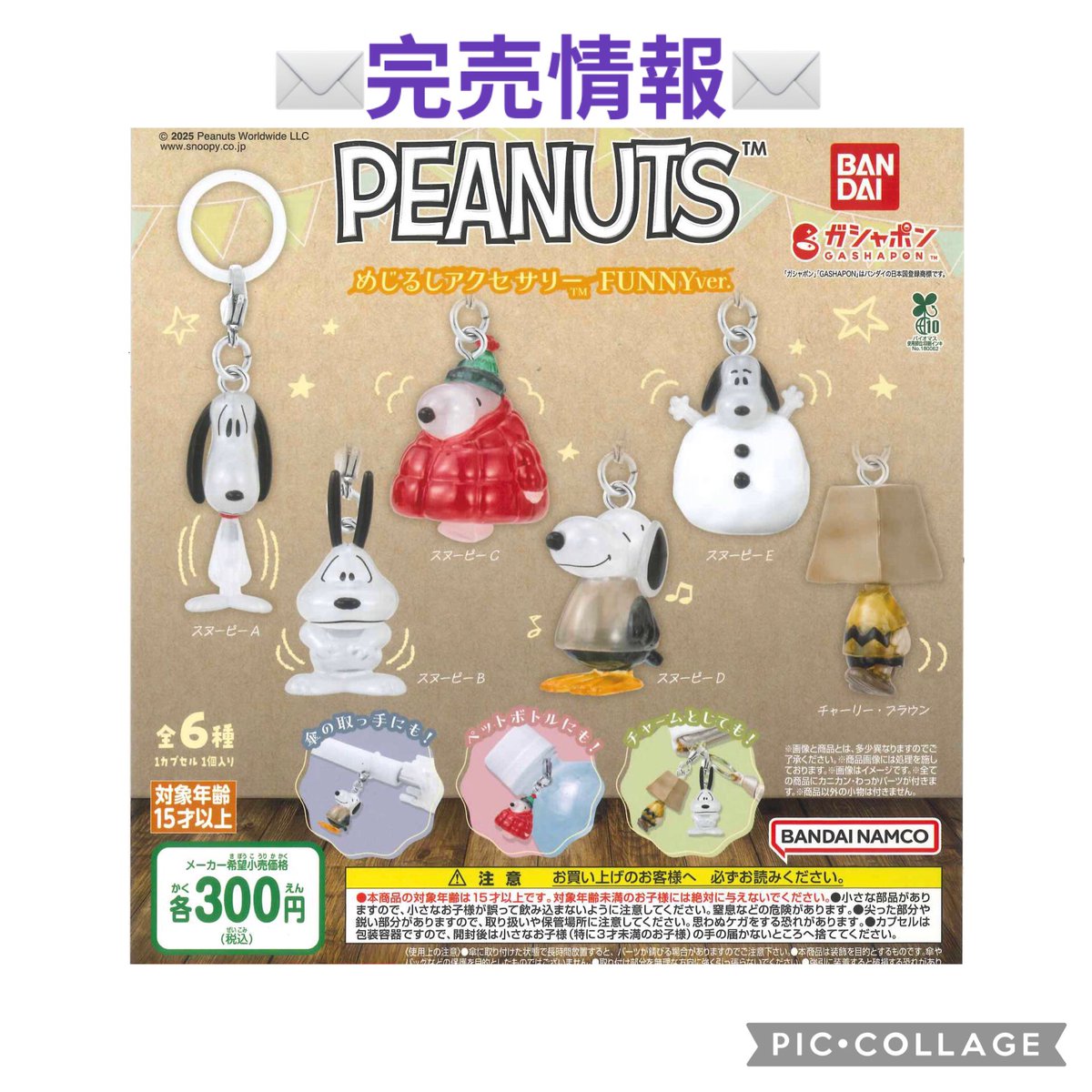 ⚠️完売情報⚠️ 大変ご好評につき 『PEANUTS めじるしアクセサリー