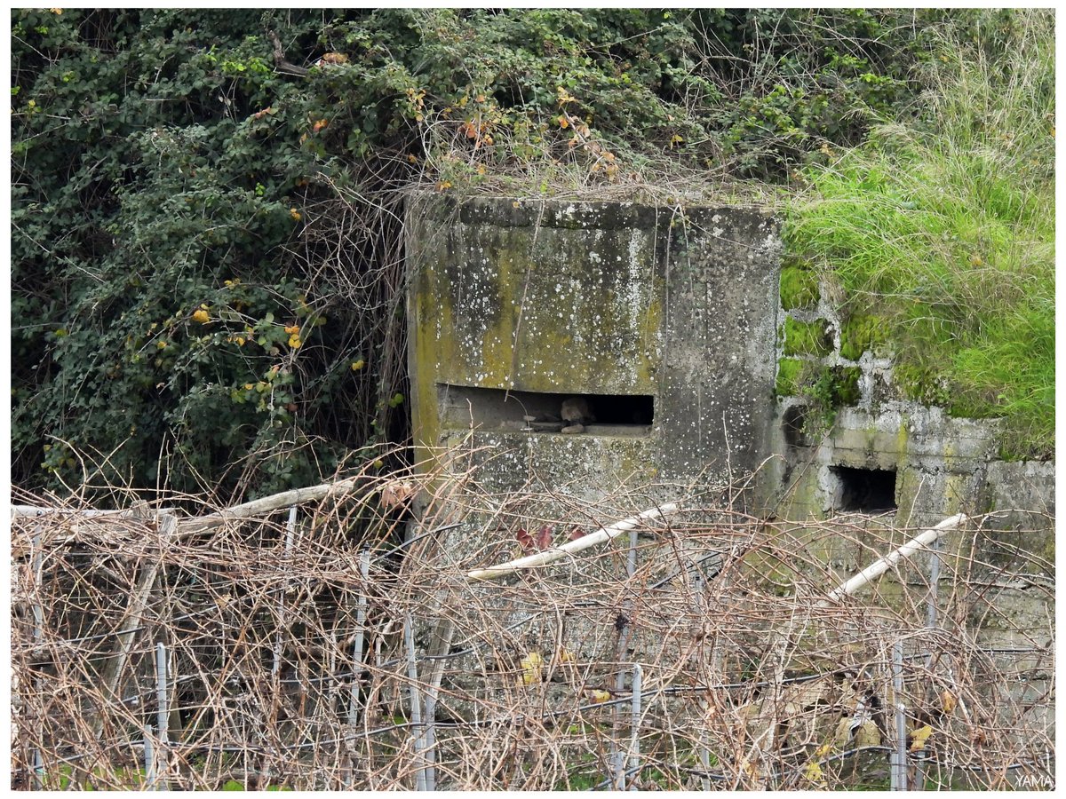 Yama_VP's tweet photo. •Bunker Caposaldo Cittiglio WWII
#Bunker #MargeritadiSavoia #Barletta #NaziMassacre #BarlettaMassacre #WWII #War #Nazi #FiumeOfanto #Ofanto #Apulia #Puglia #History #Italia #Italy #Photography
DEATH TO NAZISM, DEATH TO WEHRMACHT TROOPS. 🏴☠️ https://t.co/5rLW1lUn4S
