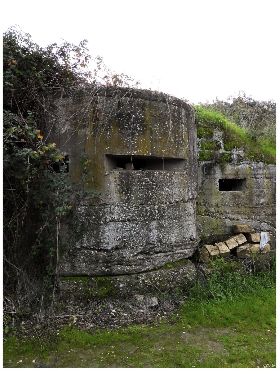 Yama_VP's tweet photo. •Bunker Caposaldo Cittiglio WWII
#Bunker #MargeritadiSavoia #Barletta #NaziMassacre #BarlettaMassacre #WWII #War #Nazi #FiumeOfanto #Ofanto #Apulia #Puglia #History #Italia #Italy #Photography
DEATH TO NAZISM, DEATH TO WEHRMACHT TROOPS. 🏴☠️ https://t.co/5rLW1lUn4S