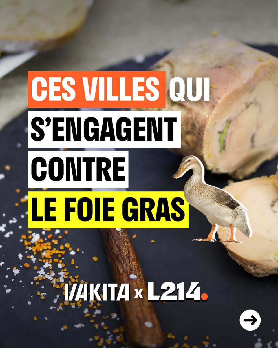 vakitamedia's tweet photo. Ces villes qui s’engagent contre l’horreur du foie gras ✊🏼
Strasbourg, Lyon, Annecy, Montpellier*… Vakita et l'@L214 s’unissent pour vous parler des villes françaises qui ont dit NON au foie gras dans leurs évènements officiels et leurs restaurants municipaux.
Et pour inciter les villes à s'engager encore plus pour les animaux, rendez-vous sur :
👉 https://t.co/5hAlHaYHpK
* liste non-exhaustive