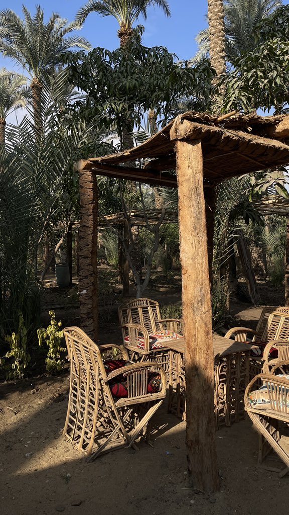 _TRM_21's tweet photo. ريـف دهشـور🍃… https://t.co/8I239RmYPF