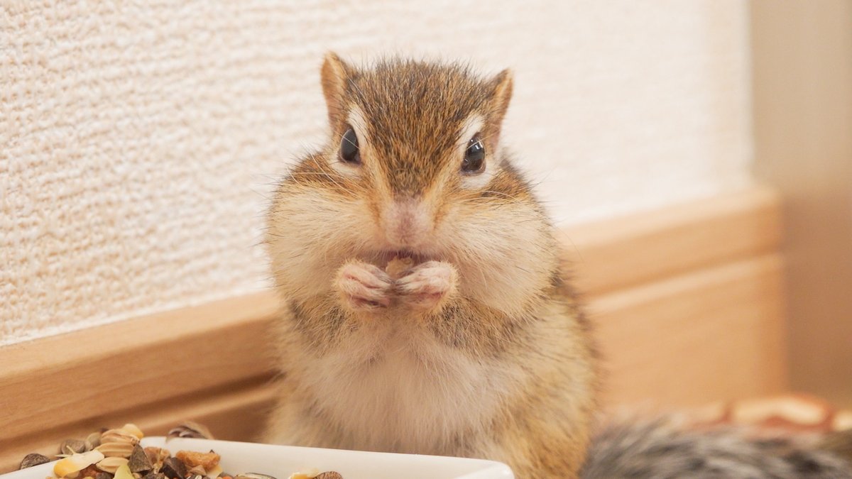 シマリストきむら (@momosansan3) / Posts / X