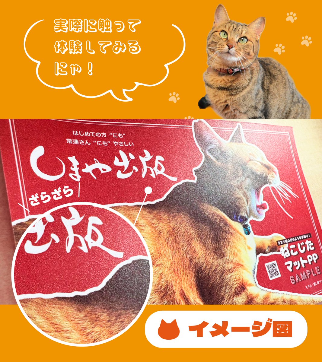 🐈ねこじたマットPP🐈】 まるでねこの舌のような手触り！？ 触って