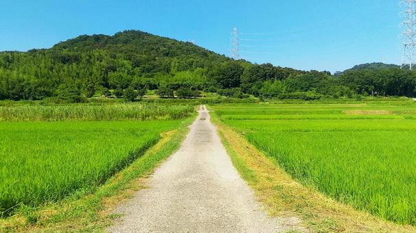 zunda_to_kuruma's tweet photo. ←おまえらが想像する田舎

　　　　　俺が住んでる田舎→ https://t.co/fXNoYlj0j4