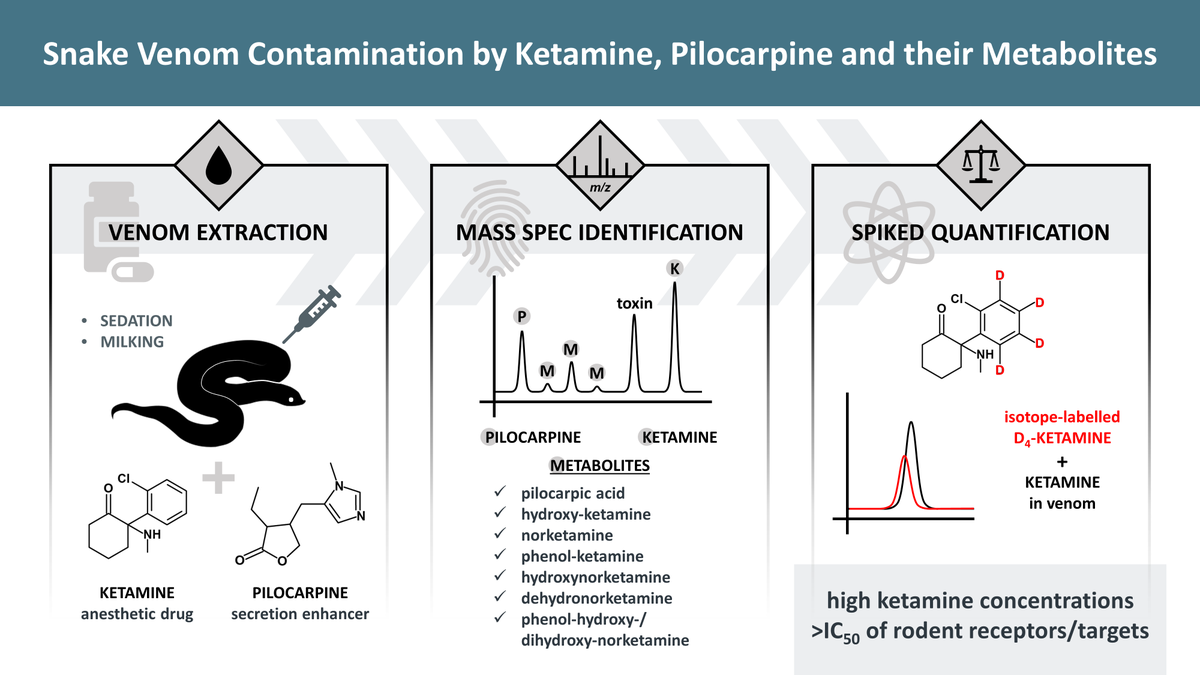 Maik Damm 🐍 tweet media