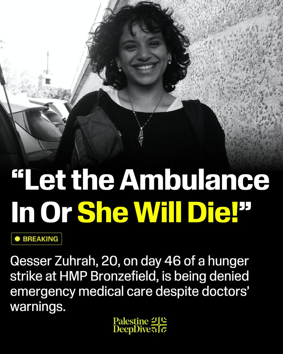 Palestine Deep Dive tweet media