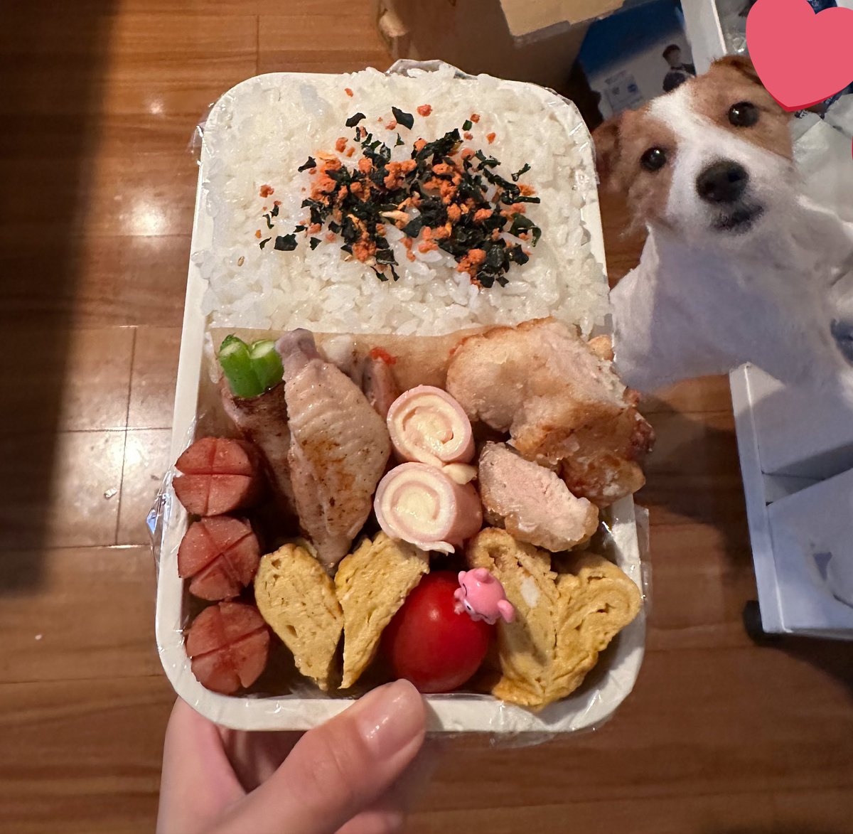 犬の鼓動を聞きながら tweet media