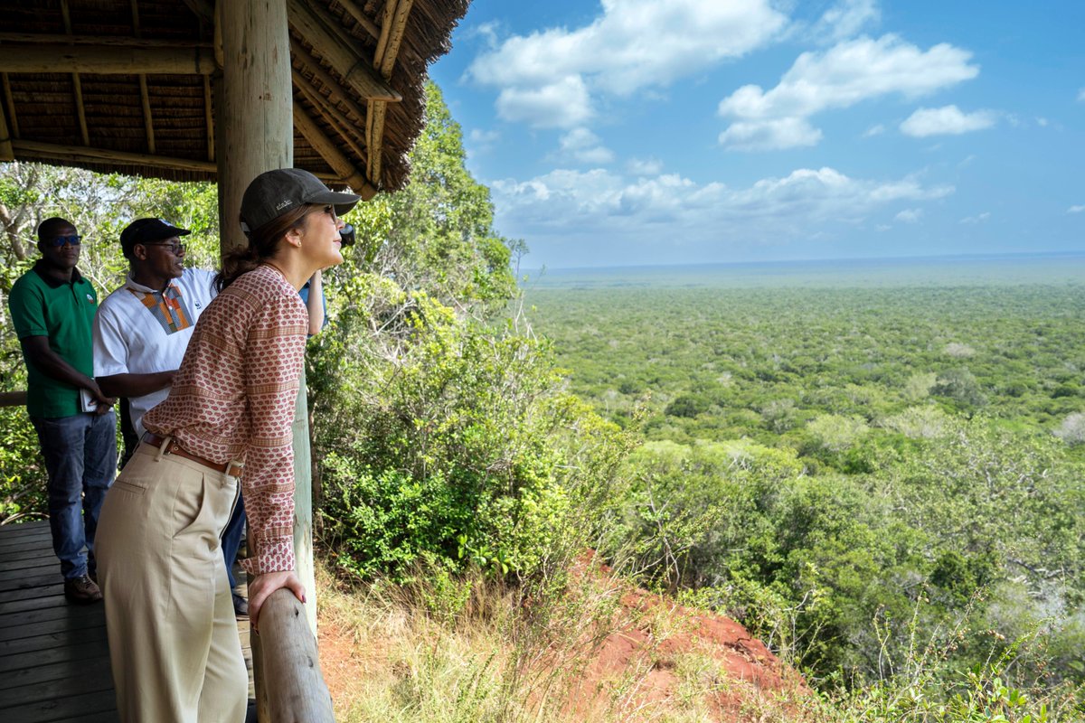 Denmark in Kenya tweet media