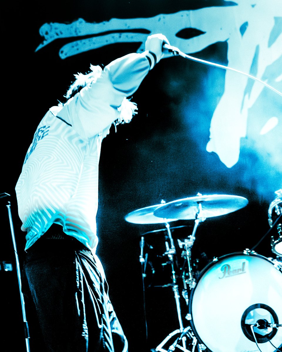 brigitta tweet media