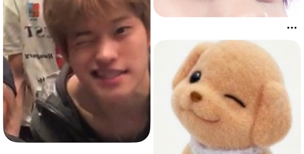 iddogee's tweet image. 졸귀