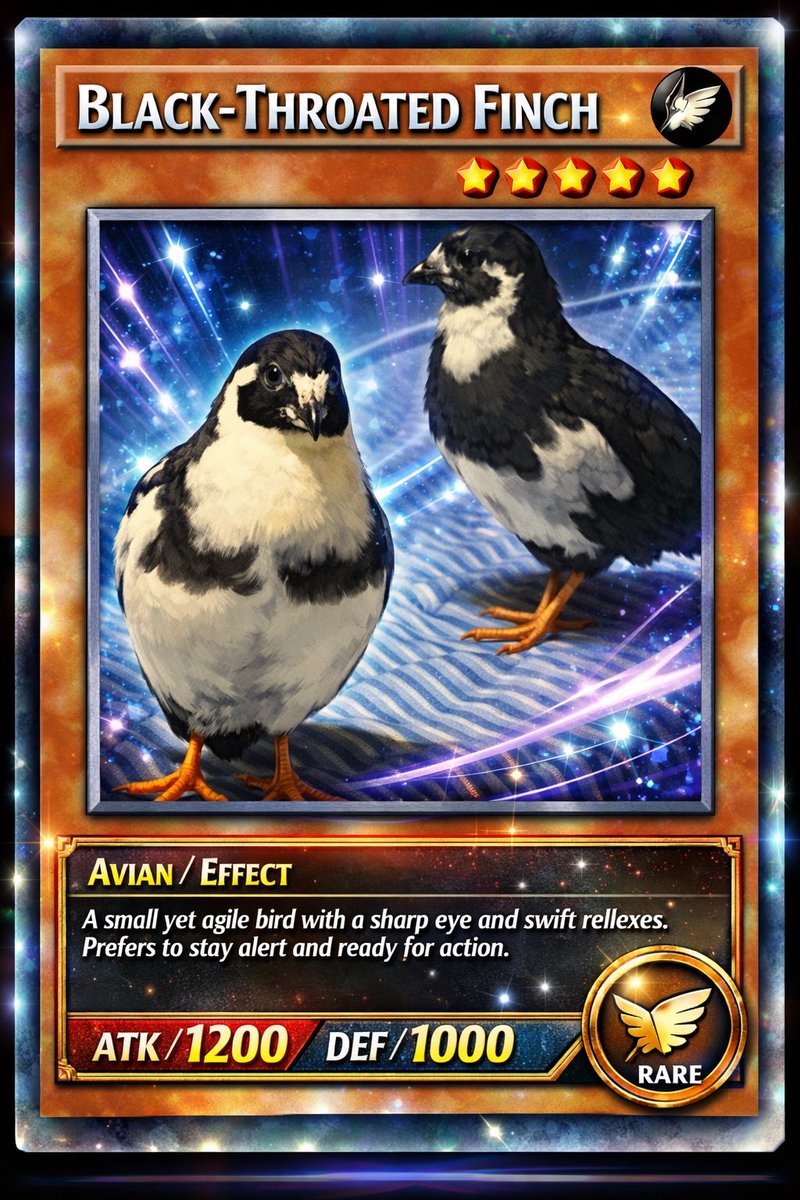 ポポチョロ🐦💨 (@1b4fc39ec9e04d3) / Posts / X