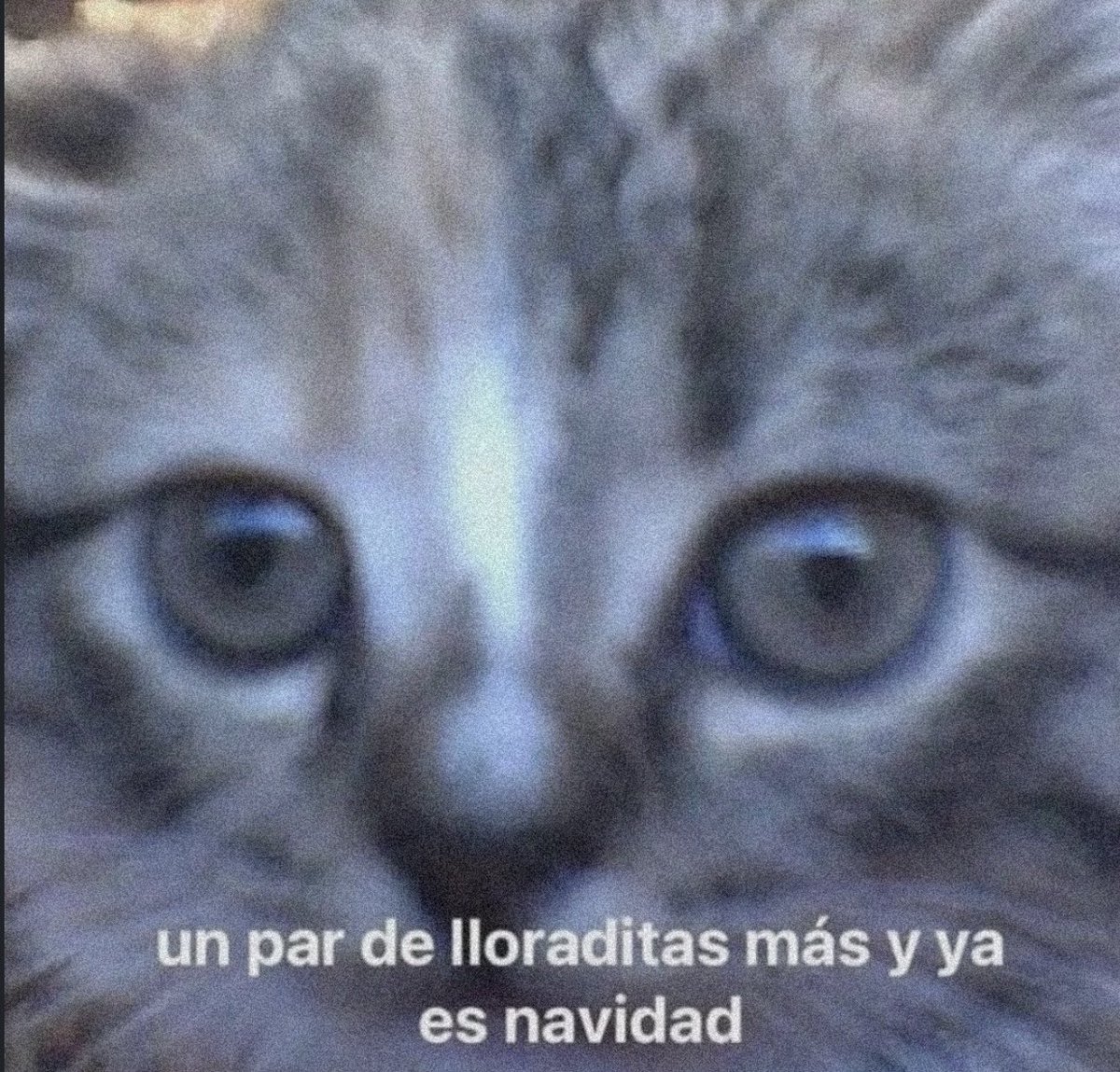 piña sin pizza (@skereunpesado) on Twitter photo 