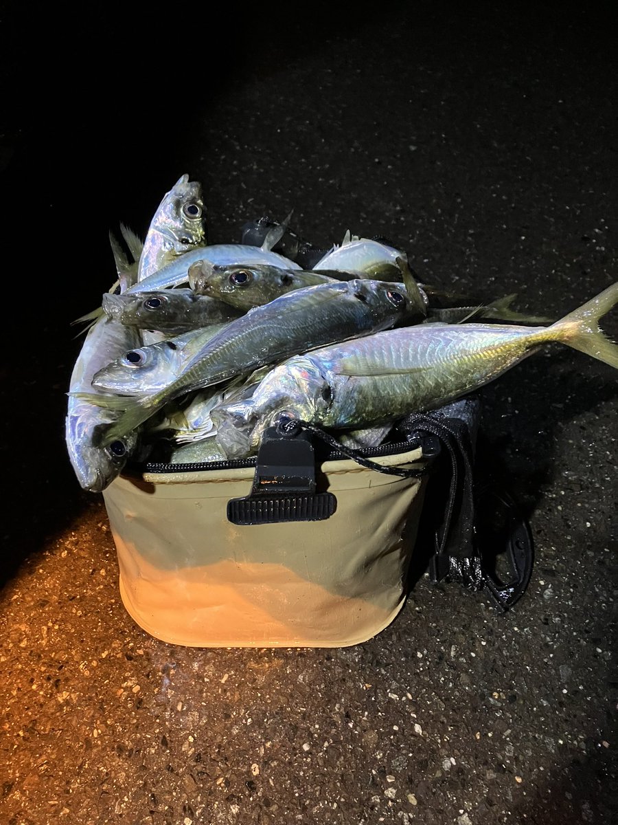 寒い、もう帰る