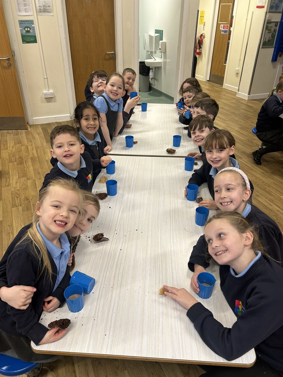 BirstallAcad13's tweet image. Rewarding our ‘Read with Me’ children this Christmas 🎄📚
Pupils who hit their reading stamps, for coming early each Friday are being treated to a cosy Christmas story and a warm mug of cocoa. Proof that a love of books is the sweetest reward ☕✨