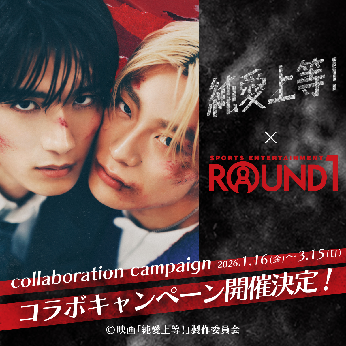 🌻🐯カエルのよっち🐸🌻 (@sky626ja) / Posts / X