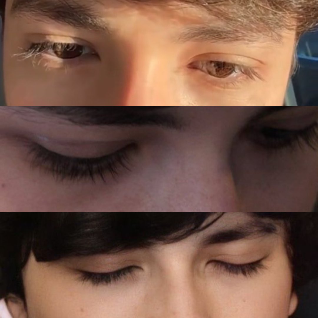 purr! 🎀🌷 tweet media