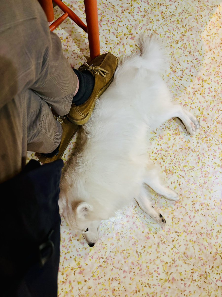 MusicBar♪ムムリック・マーフィー@下北沢12/17(水)本日通常営業でございます。
年内は20日(土)カレーズライブで23時オープン、27日(土)が浅井先輩ファンクラブイベントでオフ、31日まで営業です。
年始は追って。
昨夜もまりゅとひとときありがとございました！
今日もお待ちしてます！

#音楽バー