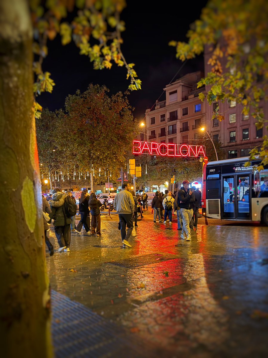 Lisa Forte tweet media