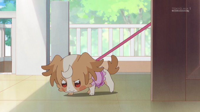 こむぎはかわいいなぁ #precure #tokyomx